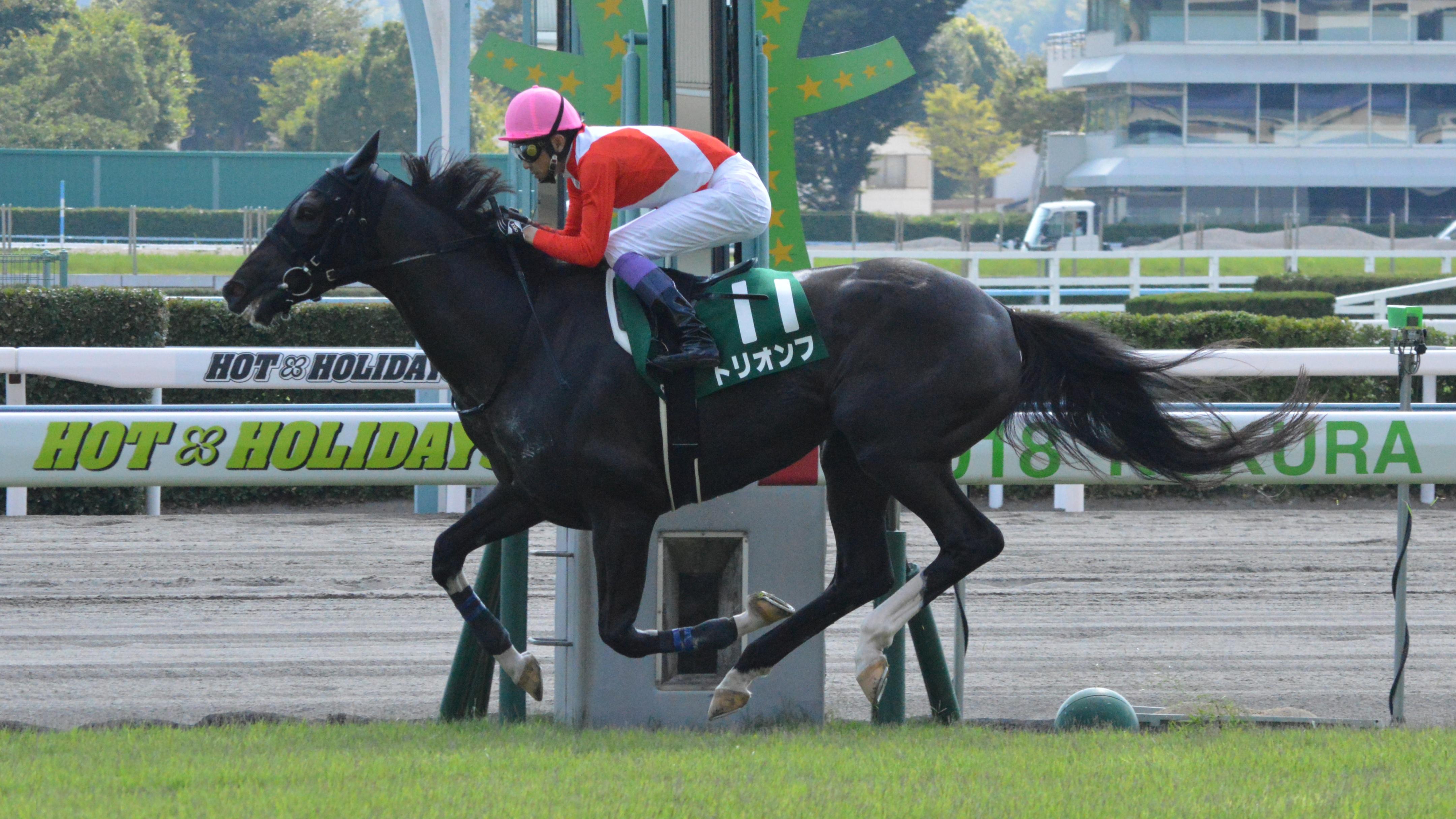 🏇 코쿠라 경마장 (小倉競馬場) 이미지 11